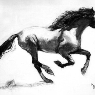 Image of Chasing the Wind by Diana Hand